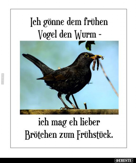 Ich gönne dem frühen Vogel den Wurm.. - Lustige Bilder | DEBESTE.de