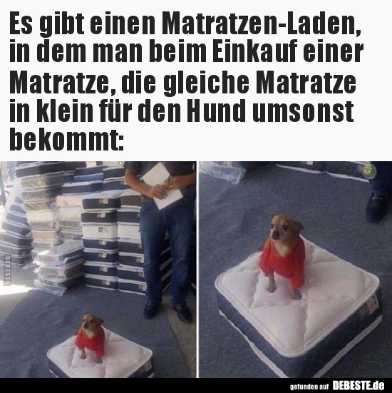 Es gibt einen Matratzen-Laden, in dem man beim Einkauf.. - Lustige Bilder | DEBESTE.de