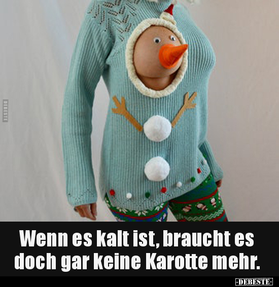 Wenn es kalt ist, braucht es doch gar keine Karotte.. - Lustige Bilder | DEBESTE.de