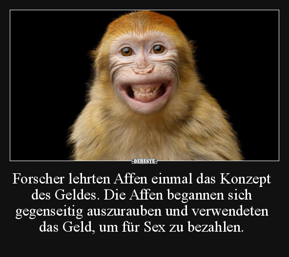 Forscher lehrten Affen einmal das Konzept des Geldes.. - Lustige Bilder | DEBESTE.de