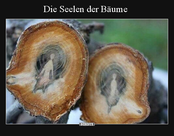 Die Seelen der Bäume.. - Lustige Bilder | DEBESTE.de