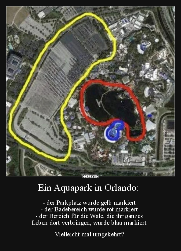 Ein Aquapark in Orlando: - der Parkplatz wurde gelb.. - Lustige Bilder | DEBESTE.de