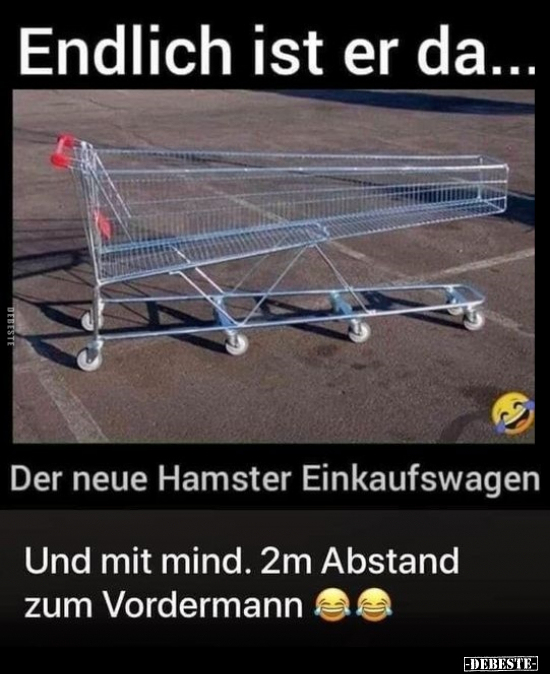 Endlich ist er da... Der neue Hamster Einkaufswagen.. - Lustige Bilder | DEBESTE.de