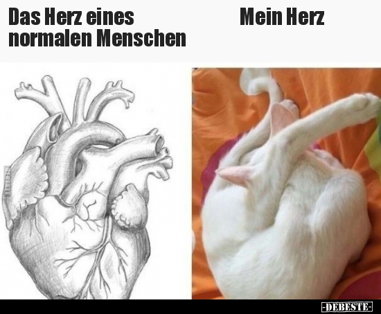 Das Herz eines normalen Menschen / Mein Herz. - Lustige Bilder | DEBESTE.de