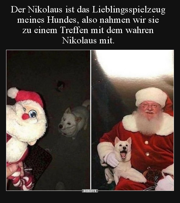 Der Nikolaus ist das Lieblingsspielzeug meines Hundes, also.. - Lustige Bilder | DEBESTE.de