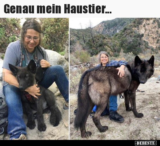 Genau mein Haustier... - Lustige Bilder | DEBESTE.de
