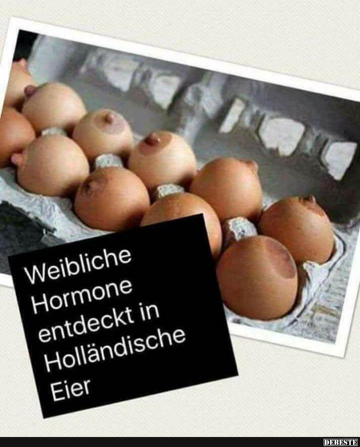 Weibliche Hormone entdeckt in Höllandische Eier.. - Lustige Bilder | DEBESTE.de