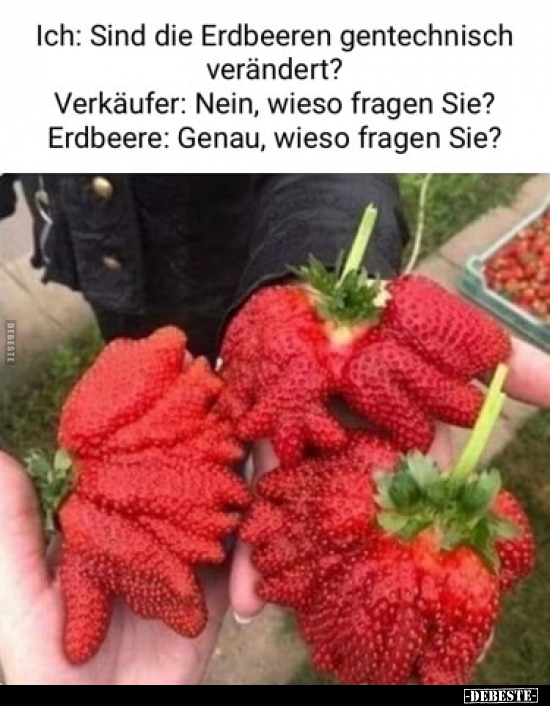 Ich: Sind die Erdbeeren gentechnisch verändert?.. - Lustige Bilder | DEBESTE.de