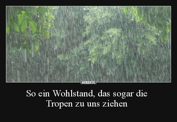 So ein Wohlstand, das sogar die Tropen zu uns ziehen.. - Lustige Bilder | DEBESTE.de