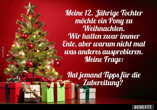 Meine 12. Jährige Tochter möchte ein Pony zu Weihnachten... - Lustige Bilder | DEBESTE.de