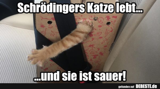 Schrödingers Katze lebt... - Lustige Bilder | DEBESTE.de