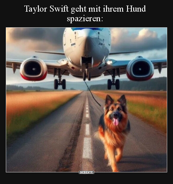 Taylor Swift geht mit ihrem Hund spazieren.. - Lustige Bilder | DEBESTE.de