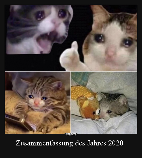 Zusammenfassung des Jahres 2020.. - Lustige Bilder | DEBESTE.de