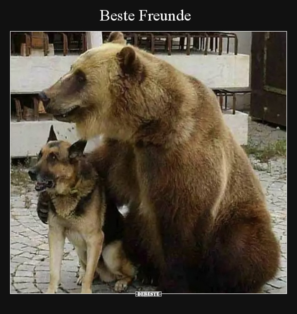 Beste Freunde.. - Lustige Bilder | DEBESTE.de