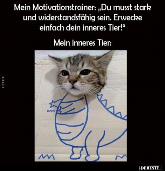 Mein Motivationstrainer: "Du musst stark und.." - Lustige Bilder | DEBESTE.de