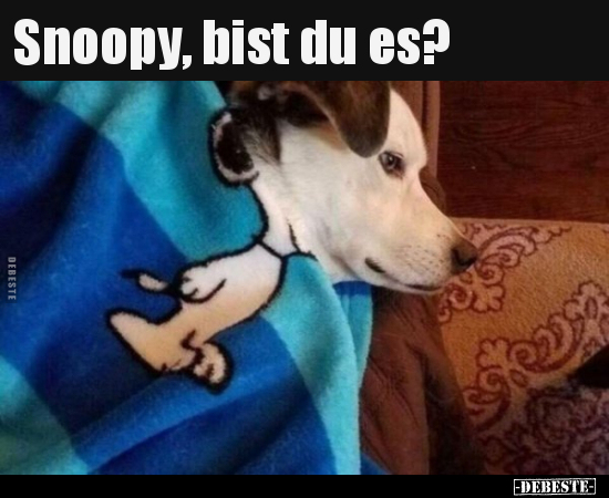 Snoopy, bist du es?.. - Lustige Bilder | DEBESTE.de