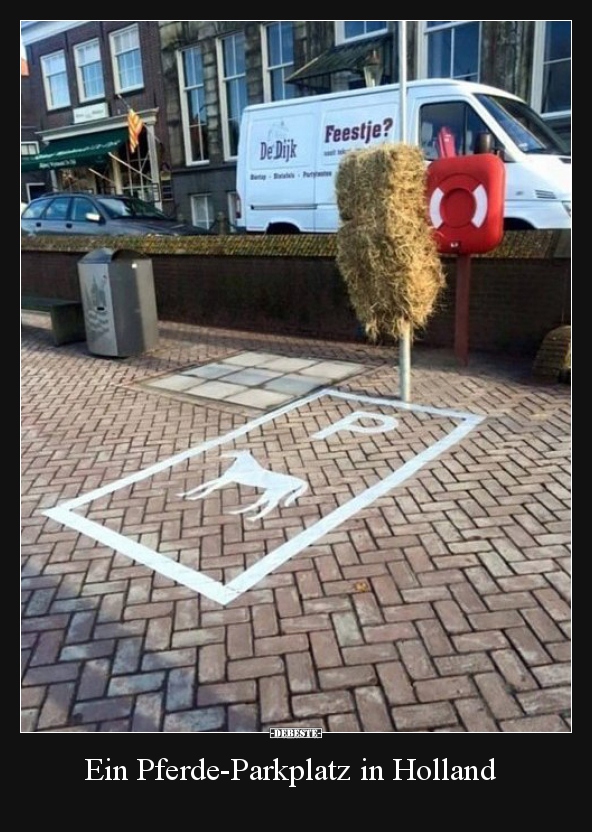 Ein Pferde-Parkplatz in Holland.. - Lustige Bilder | DEBESTE.de
