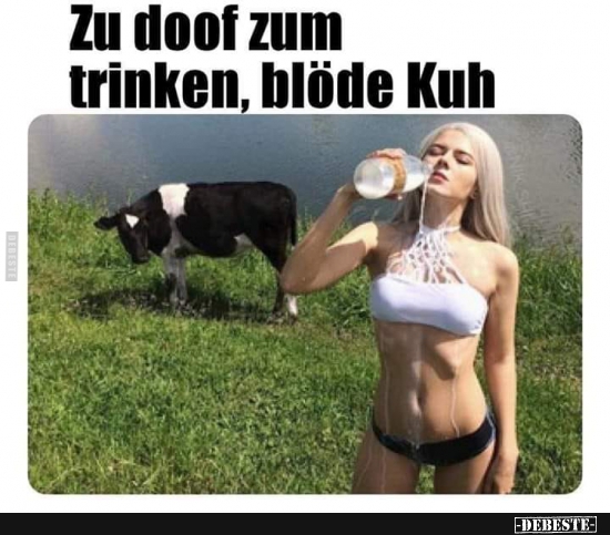 Zu doof zum trinken, blöde Kuh.. - Lustige Bilder | DEBESTE.de
