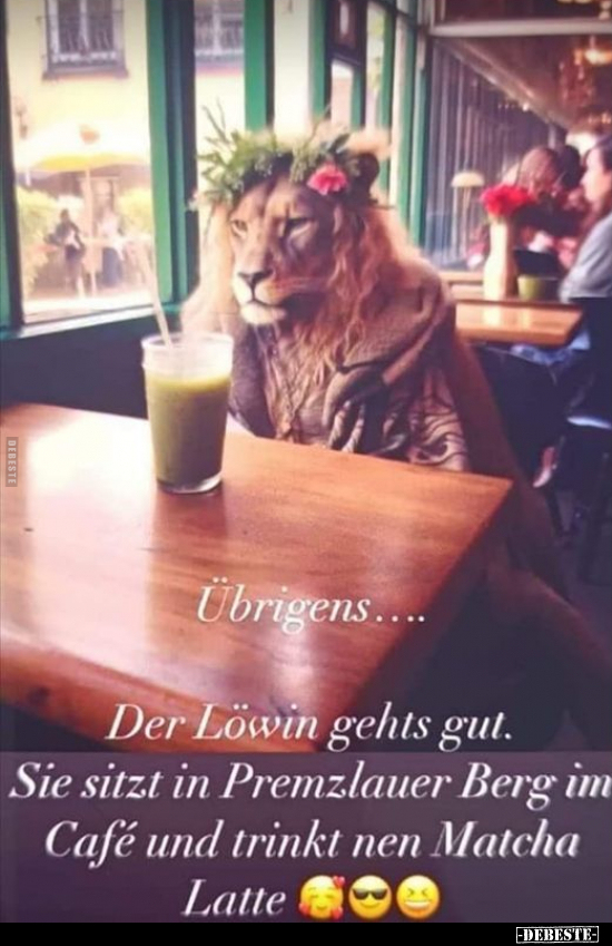 Übrigens.... - Der Löwin gehts gut... - Lustige Bilder | DEBESTE.de