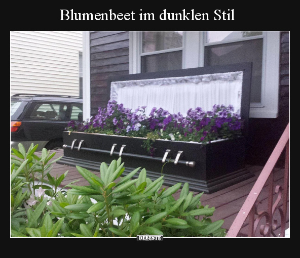 Blumenbeet im dunklen Stil.. - Lustige Bilder | DEBESTE.de