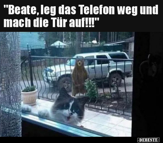 "Beate, leg das Telefon weg und mach die Tür auf!!!".. - Lustige Bilder | DEBESTE.de