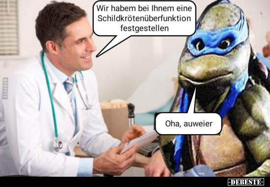 Wir habem bei Ihnem eine Schildkrötenüberfunktion.. - Lustige Bilder | DEBESTE.de
