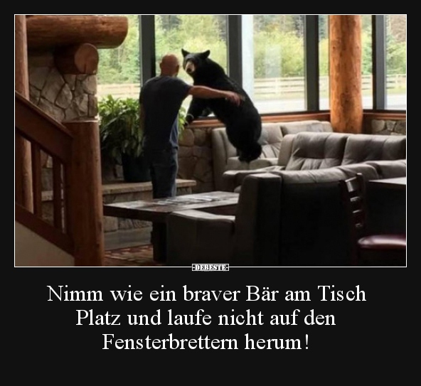 Nimm wie ein braver Bär am Tisch Platz und laufe nicht.. - Lustige Bilder | DEBESTE.de