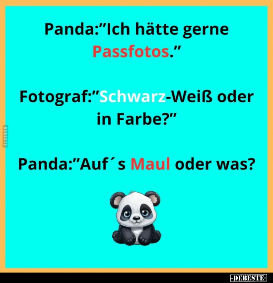 Panda: "Ich hätte gerne Passfotos.".. - Lustige Bilder | DEBESTE.de