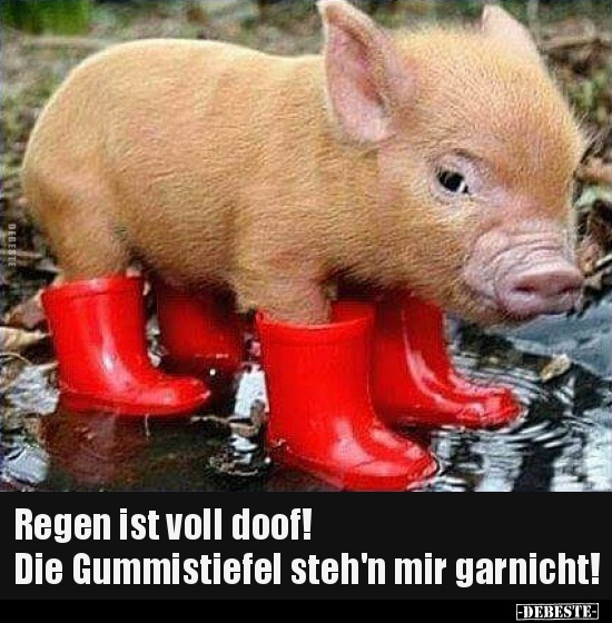 Regen ist voll doof! Die Gummistiefel steh'n mir.. - Lustige Bilder | DEBESTE.de