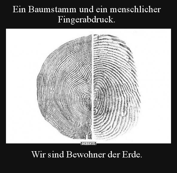 Ein Baumstamm und ein menschlicher Fingerabdruck... - Lustige Bilder | DEBESTE.de