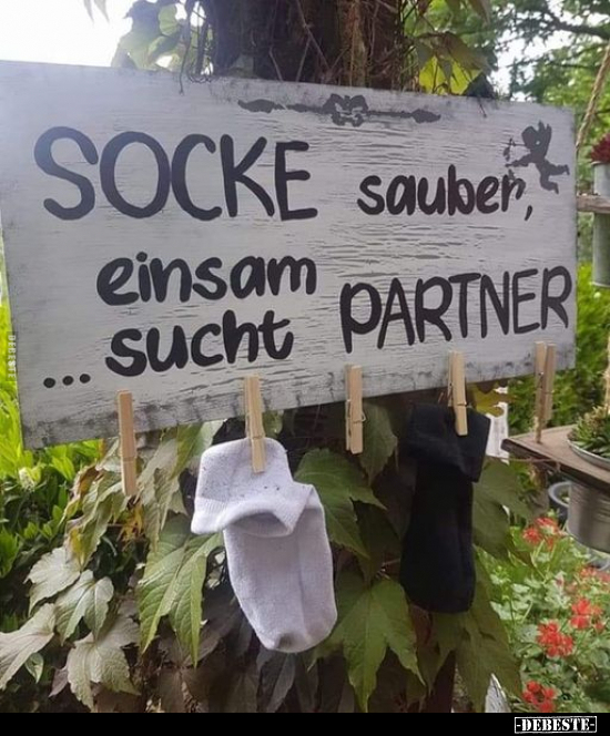 Socke sauber, einsam.. - Lustige Bilder | DEBESTE.de