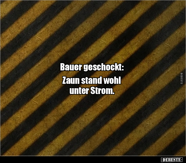 Bauer geschockt: Zaun stand wohl  unter Strom... - Lustige Bilder | DEBESTE.de