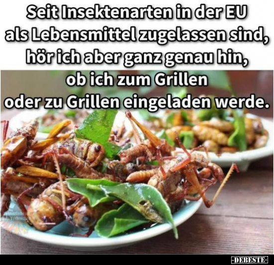 Seit Insektenarten in der EU als Lebensmittel zugelassen.. - Lustige Bilder | DEBESTE.de