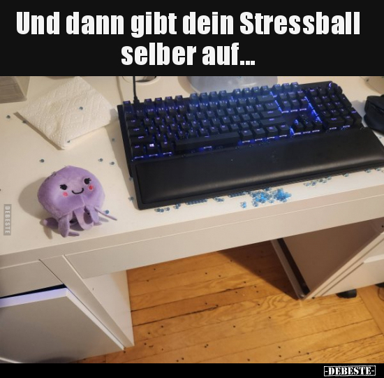 Und dann gibt dein Stressball selber auf... - Lustige Bilder | DEBESTE.de