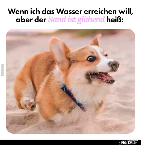 Wenn ich das Wasser erreichen will, aber der Sand ist.. - Lustige Bilder | DEBESTE.de