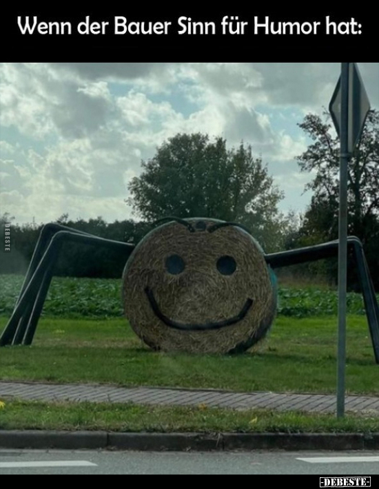 Wenn der Bauer Sinn für Humor hat.. - Lustige Bilder | DEBESTE.de