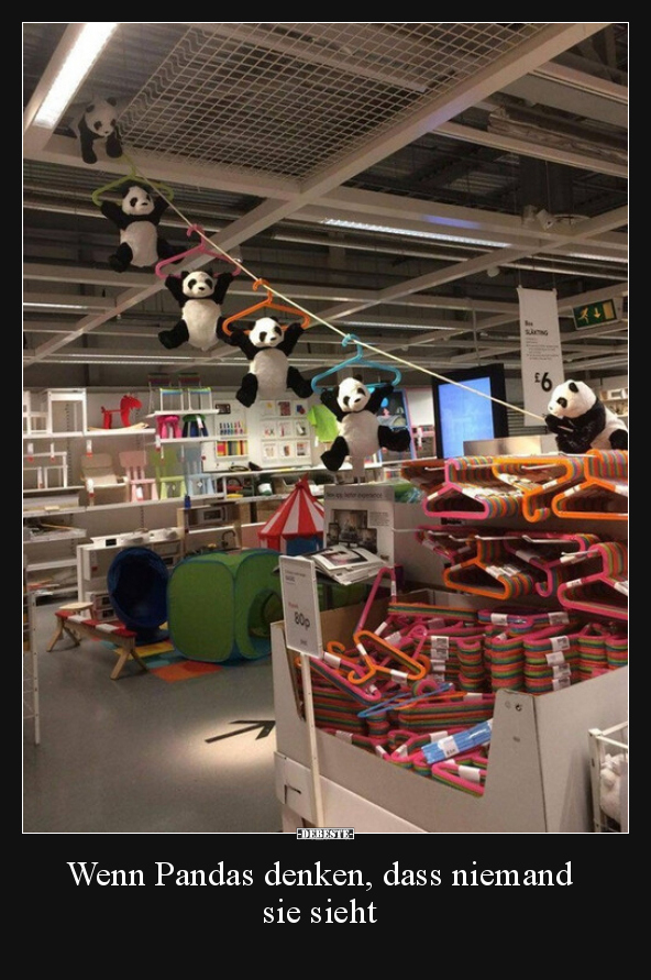 Wenn Pandas denken, dass niemand sie sieht.. - Lustige Bilder | DEBESTE.de