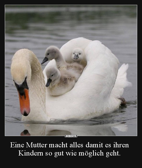 Eine Mutter macht alles damit es ihren Kindern so gut wie.. - Lustige Bilder | DEBESTE.de