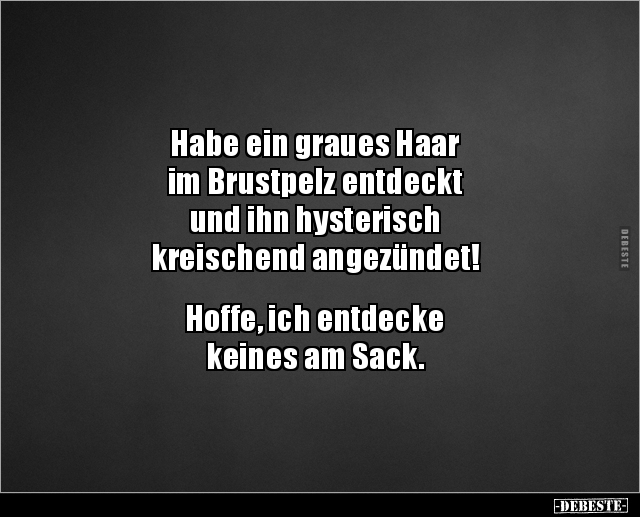 Habe ein graues Haar im Brustpelz entdeckt und ihn.. - Lustige Bilder | DEBESTE.de