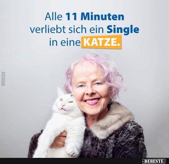Alle 11 Minuten verliebt sich ein Single in eine Katze. - Lustige Bilder | DEBESTE.de