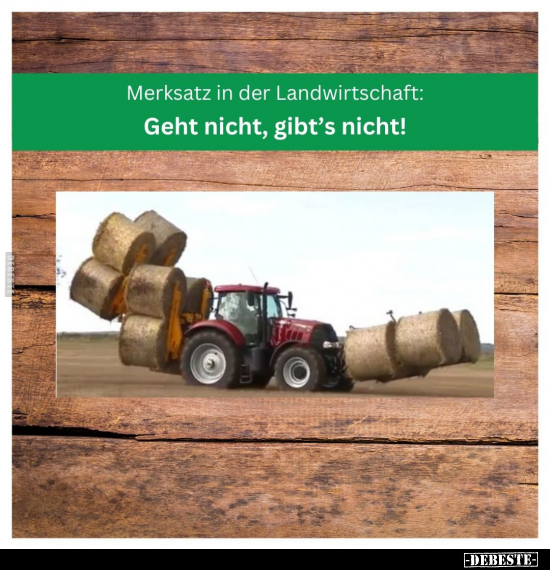 Merksatz in der Landwirtschaft.. - Lustige Bilder | DEBESTE.de