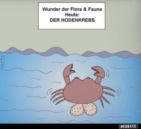 Wunder der Flora & Fauna Heute: DER HODENKREBS.. - Lustige Bilder | DEBESTE.de