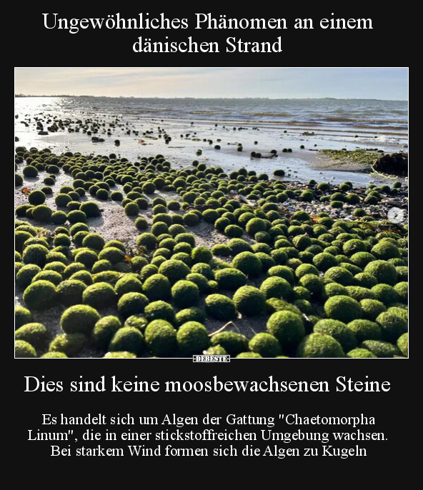 Ungewöhnliches Phänomen an einem dänischen Strand.. - Lustige Bilder | DEBESTE.de