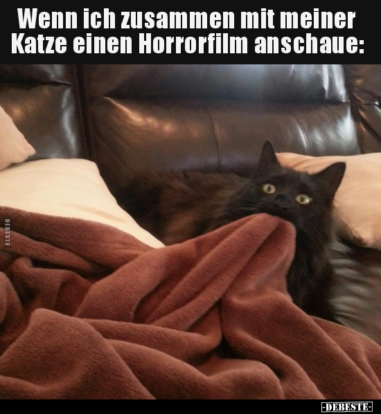 Wenn ich zusammen mit meiner Katze einen Horrorfilm.. - Lustige Bilder | DEBESTE.de
