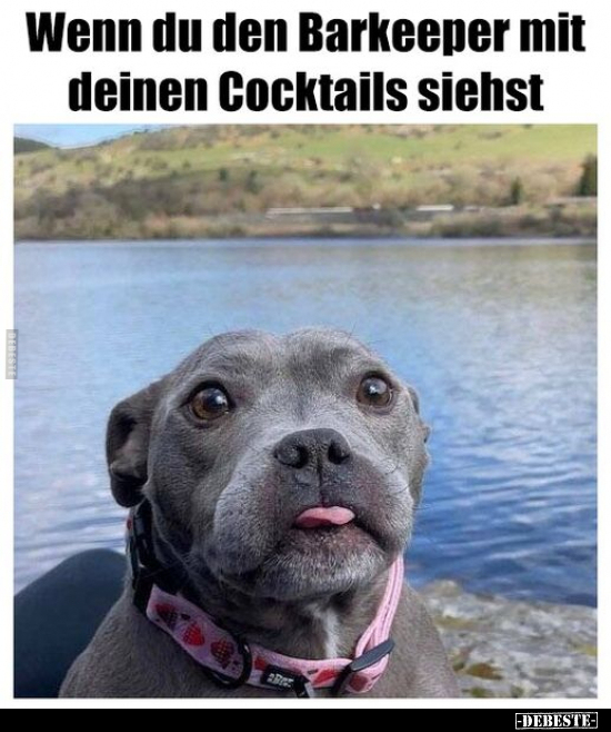 Wenn du den Barkeeper mit deinen Cocktails siehst.. - Lustige Bilder | DEBESTE.de