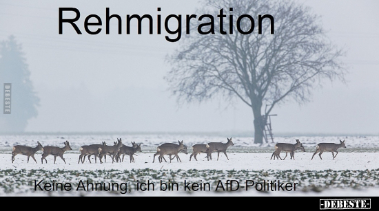Rehmigration... - Lustige Bilder | DEBESTE.de