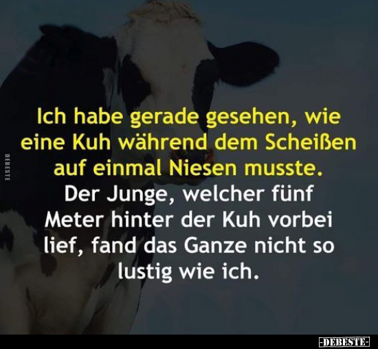 Ich habe gerade gesehen, wie eine Kuh.. - Lustige Bilder | DEBESTE.de