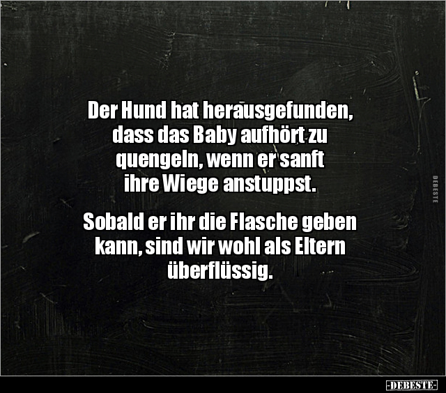 Der Hund hat herausgefunden, dass das Baby aufhört zu.. - Lustige Bilder | DEBESTE.de