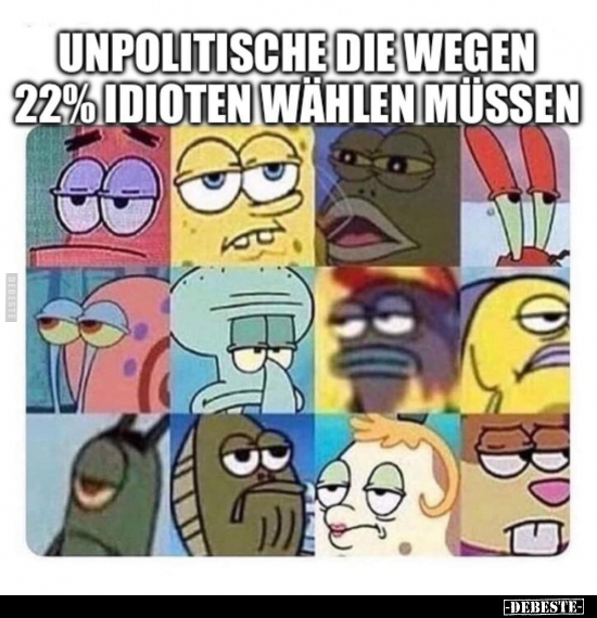 Unpolitische die wegen 22% Idioten wählen müssen.. - Lustige Bilder | DEBESTE.de