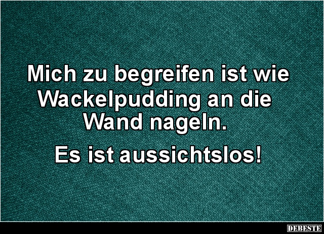 Mich zu begreifen ist wie Wackelpudding an die Wand nageln.. - Lustige Bilder | DEBESTE.de